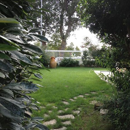 Villa Gioia Rooms Montegranaro Eksteriør billede