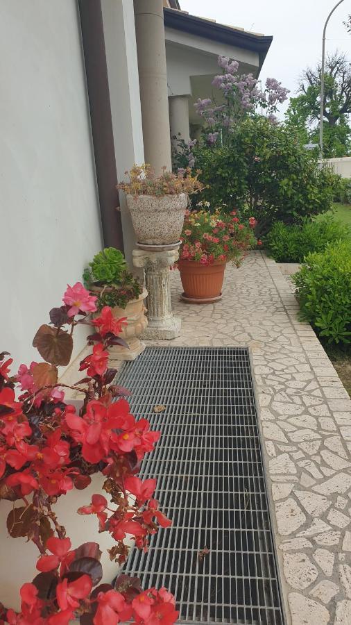 Villa Gioia Rooms Montegranaro Eksteriør billede