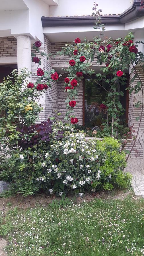 Villa Gioia Rooms Montegranaro Eksteriør billede